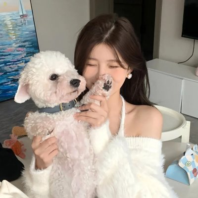 鲨海血危机