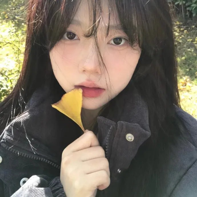 森林小丑
